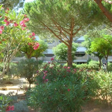 דירה Bormes-les-mimosas, 3 Pieces, 7 Personnes - Fr-1-251-608
